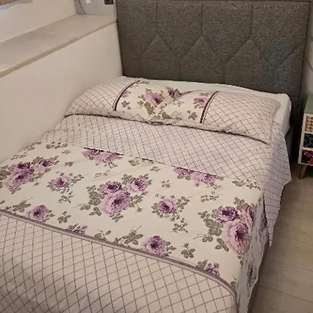 Lux Adriatica